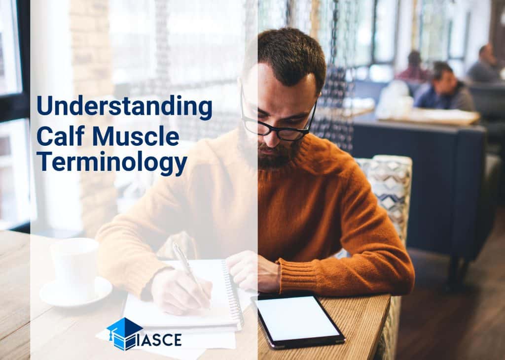 Understanding Calf Muscle Terminology