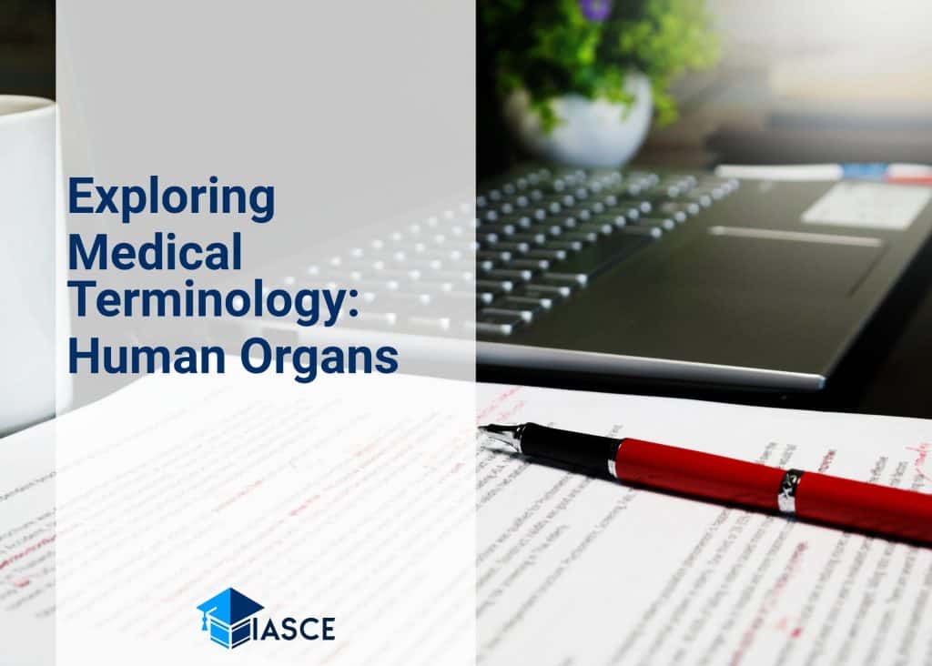 Exploring Medical Terminology: Human Organs