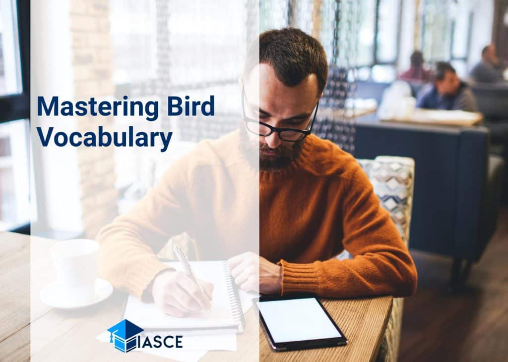 Mastering Bird Vocabulary