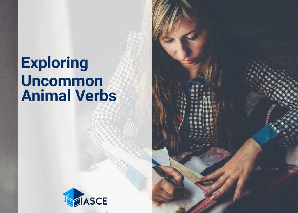 Exploring Uncommon Animal Verbs