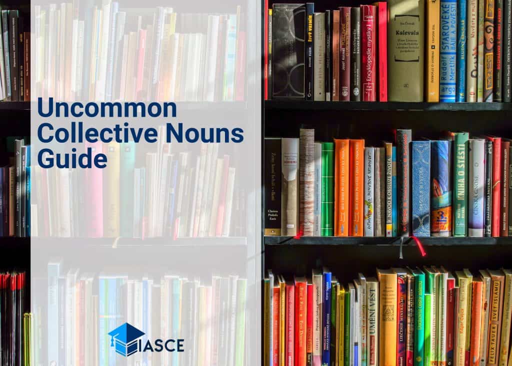 Uncommon Collective Nouns Guide