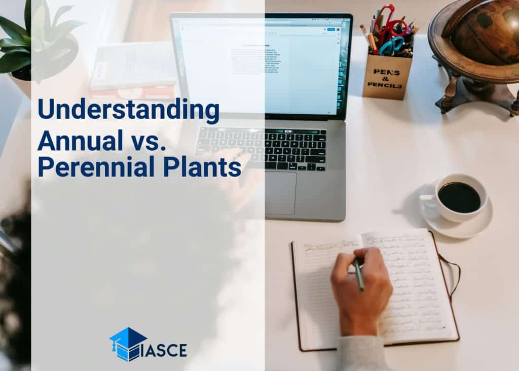 Understanding Annual vs. Perennial Plants
